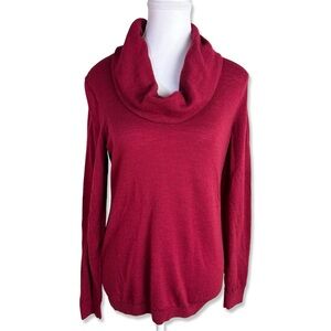 ELLEN TRACY Extra Fine Merino Wool Cowl Neck Sweater